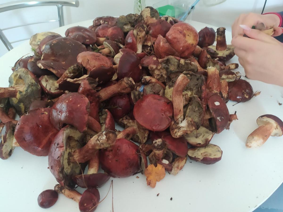 Wczasy Sandi Chlapowo Władysławowo Buitenkant foto