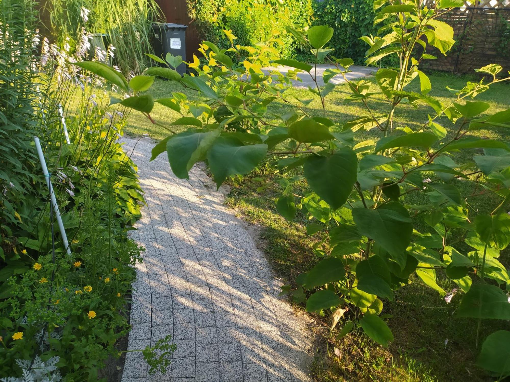 Wczasy Sandi Chlapowo Władysławowo Buitenkant foto